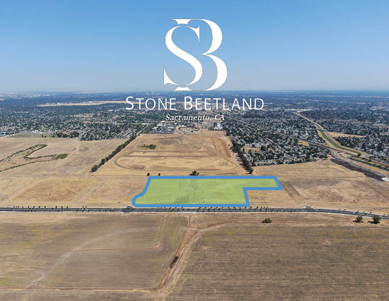 Stone Beetland